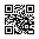 QR CODE 133