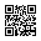 QR CODE 1251