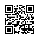 QR CODE 993