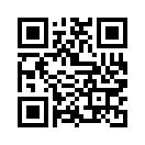 QR CODE 2934