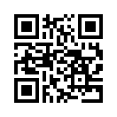 QR CODE 394
