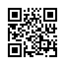 QR CODE 1333