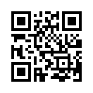 QR CODE 27