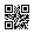 QR CODE 1153