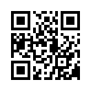 QR CODE 31
