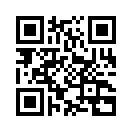 QR CODE 538